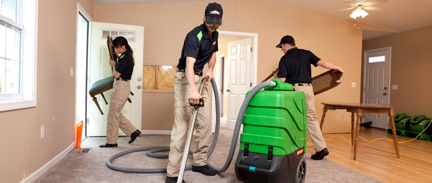 Greenville, MS cleaning services
